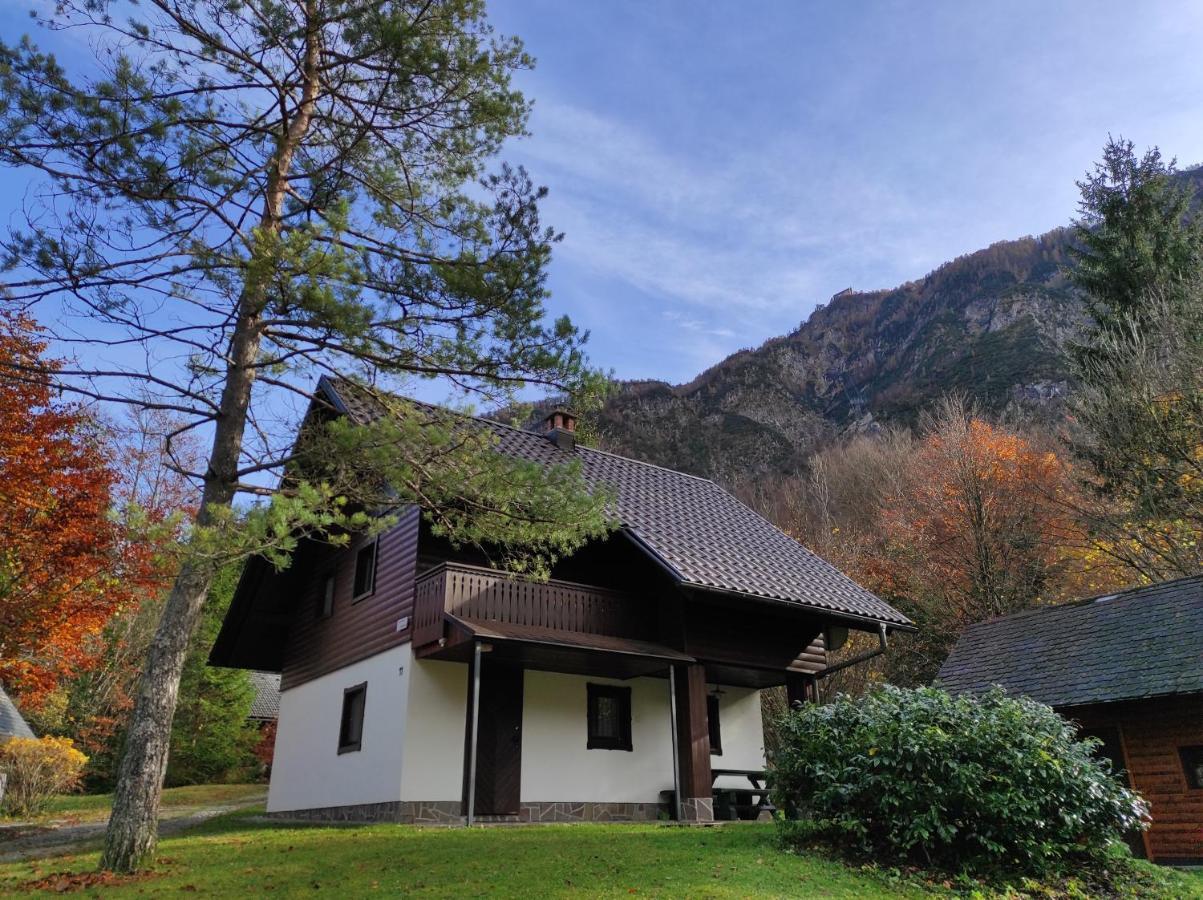 Apartmaji Zupancic Bohinj Exterior foto