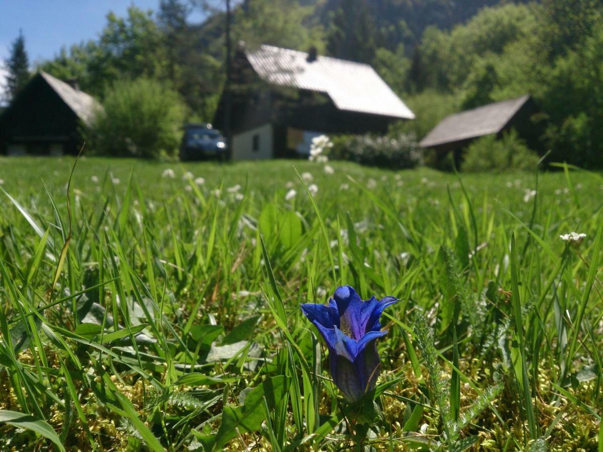 Apartmaji Zupancic Bohinj Exterior foto